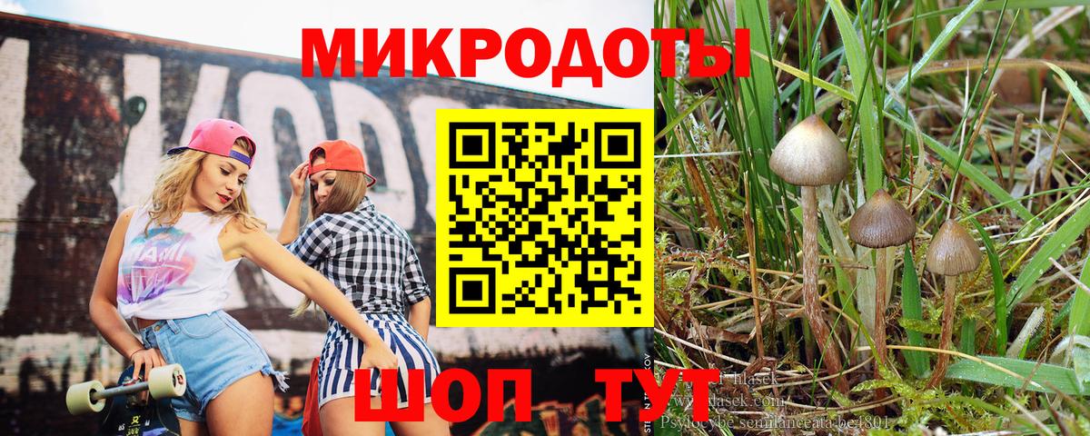 Богданович  Псилоцибиновые грибы GOLDEN TEACHER  что такое   Вход с VPN 