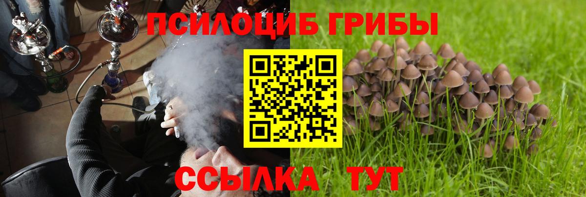 Псилоцибиновые грибы GOLDEN TEACHER Богданович
